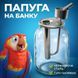 Попугай на банку (металлический) 100000371 фото 1
