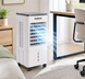 Напольный охладитель DKNS DH2025-01A 10л/3800w dr-156 фото 1